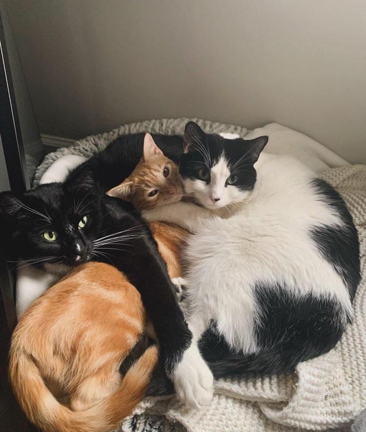 Portrait of HannahJo