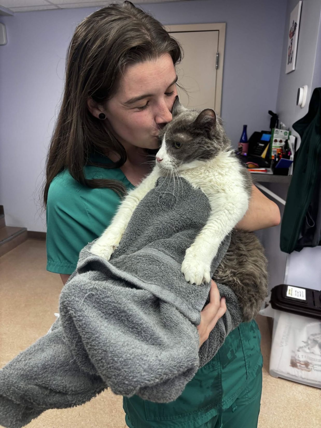 Exeter Pet Hospital