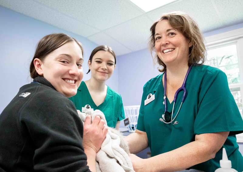 Carousel Slide 5: Meet our veterinary team!