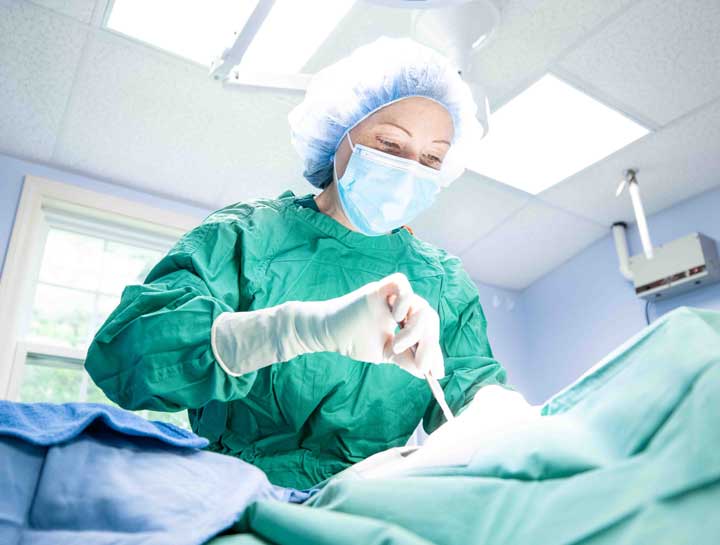 $City Veterinary Surgeries